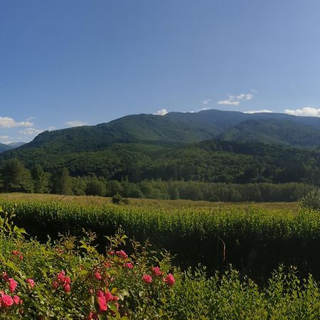 Hotel Valea Doamnei Nucşoara Esterno foto