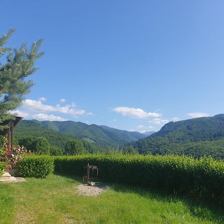 Hotel Valea Doamnei Nucşoara Esterno foto