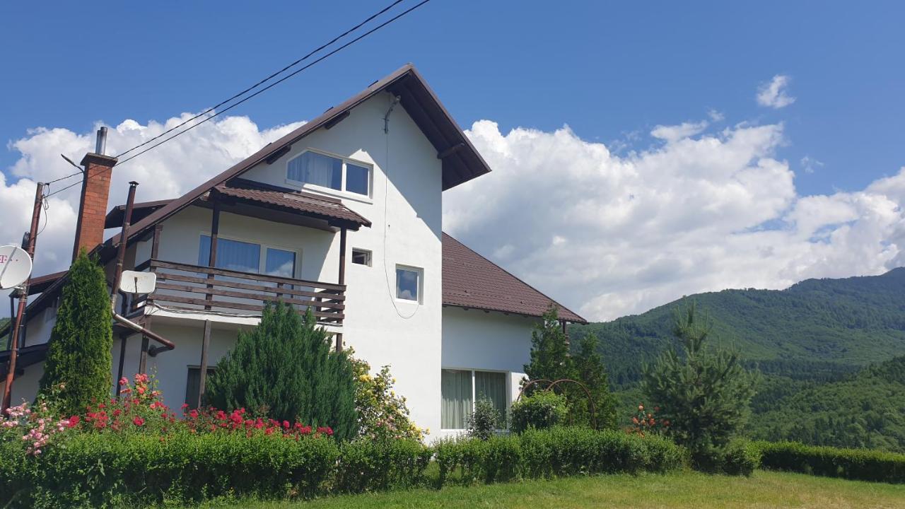 Hotel Valea Doamnei Nucşoara Esterno foto