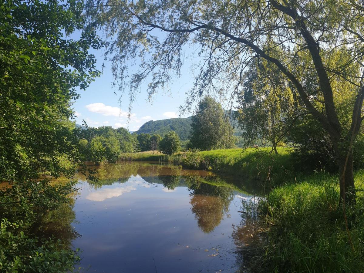 Hotel Valea Doamnei Nucşoara Esterno foto