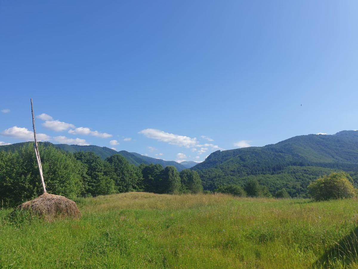Hotel Valea Doamnei Nucşoara Esterno foto