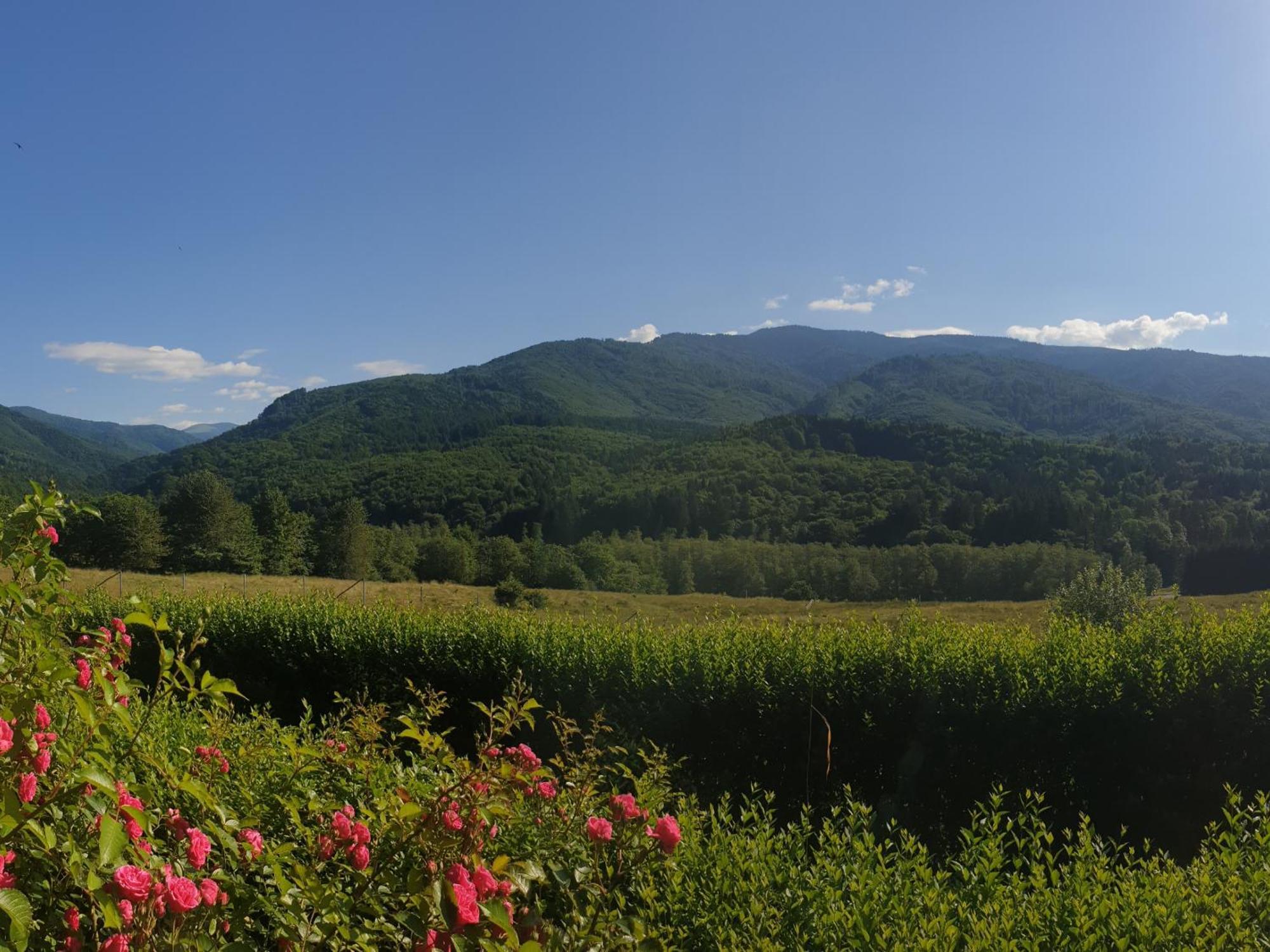 Hotel Valea Doamnei Nucşoara Esterno foto