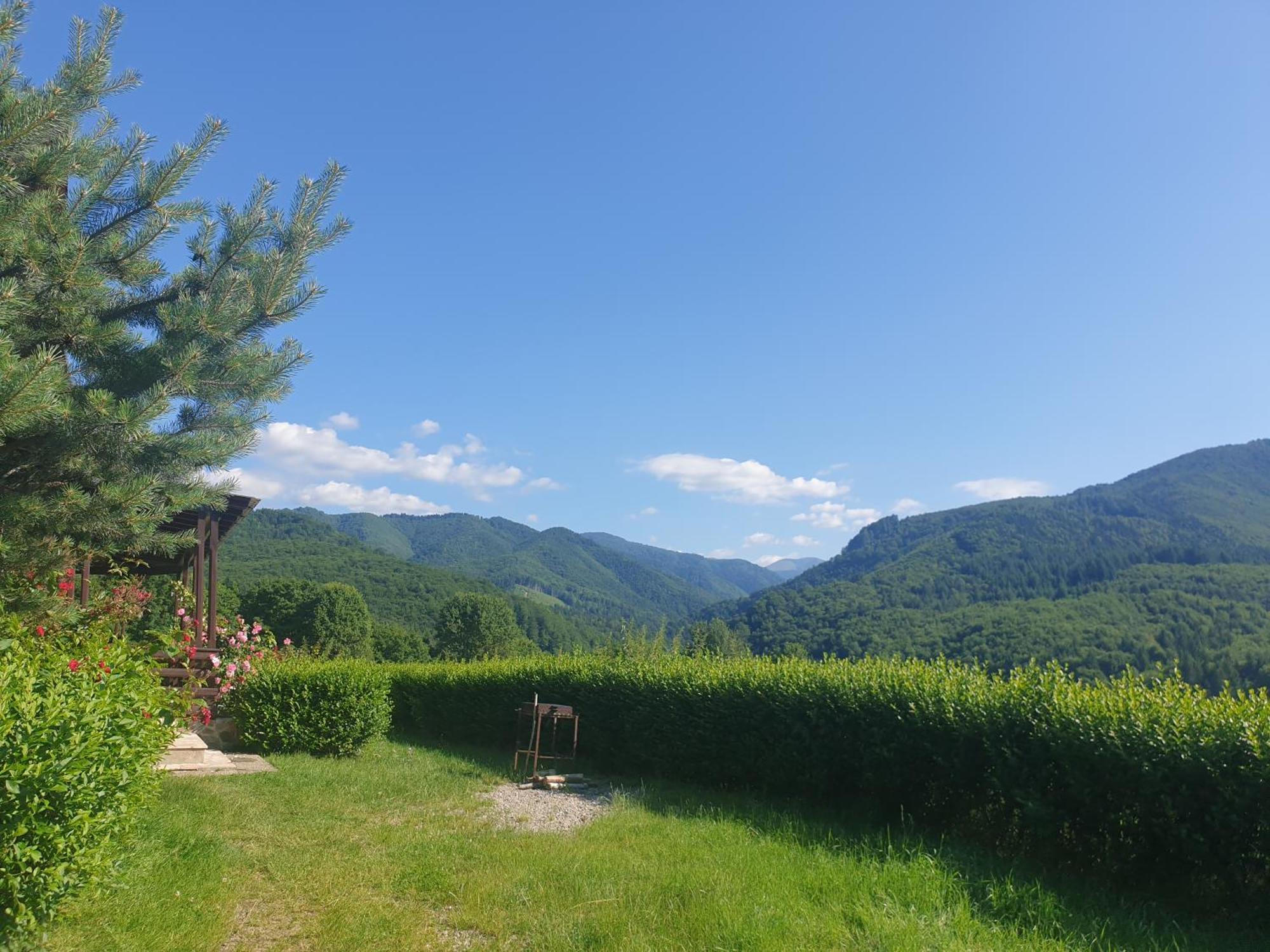 Hotel Valea Doamnei Nucşoara Esterno foto