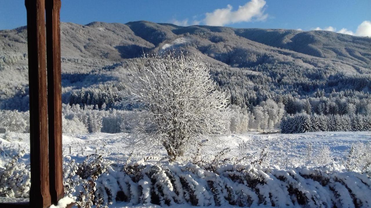 Hotel Valea Doamnei Nucşoara Esterno foto