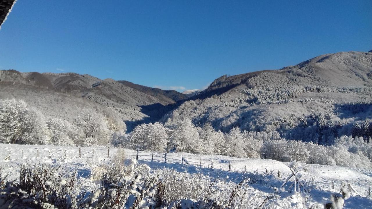 Hotel Valea Doamnei Nucşoara Esterno foto